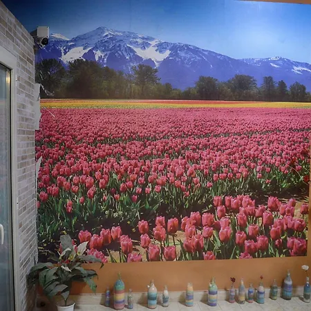 埃特纳露台住宿加早餐旅馆 马斯卡卢恰