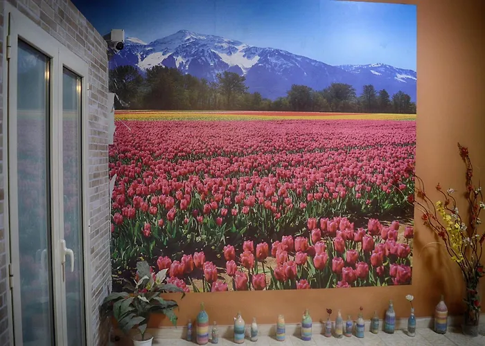 Terrazza Dell'etna Mascalucia